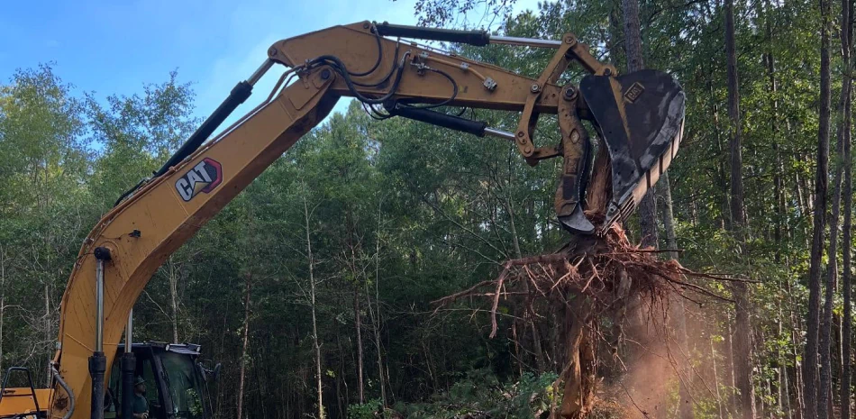 Forestry Mulching